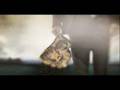 FOXlife HD Ghost Promo
