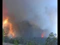 Bushfire - Forest Fire Bushfire - Forest Fire