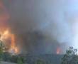 Bushfire-Forest-Fire
