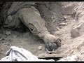 srail-gercei-wwwulkucutrcom.html