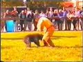Bouvier des Flandres Ixia de la Lampe Sud