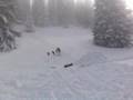 Freestyle Skiing D-Spin 720