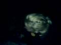 videos de Die UFO`s holen die Regenwürmer