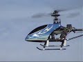 un poulpe volant un poulpe volant