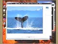 WIndows Vista RC1 - Twisted Tech TV