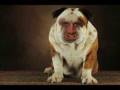 videos de A Word On Restroom Etiquette