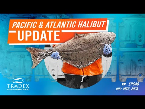 3MMI - Pacific Halibut vs Atlantic Halibut Market Update
