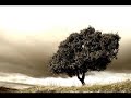 alberto cortez   mi árbol y yo