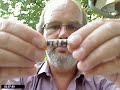 The german pipes of Design Berlin are all in a good quality. Some of them are realy awesome. Special feature: 2 smoke-channels inside the mouthpiece for a better taste. The db-pipes are comming with 9-mm filters. Therefor this video is also about all the different kinds of filters (material, sices, how to use them...).Die Mayflower gehört zu den preiswerten Pfeifen von Design Berlin. Natürlich findet der Raucher auch hier den Doppelrauchkanal und 9-mm-Filter-Kammer. Deshalb beschäftigt sich dieses Video auch mit den Pfeifenfiltern, ihrer Machart, den verwendeten Materialien und Größen und weshalb man sie einsetzt (oder darauf verzichtet).