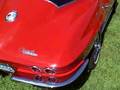 Corvette Friends OFM Pig Roast 2008