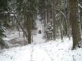 CFmoto snow hill climbing