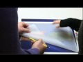 European Elections Campaign: the Making of