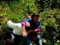 Steven Seagal Irimi nage