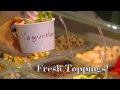yogurtland
