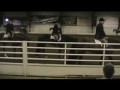 Good As Always - 2005 Bay Stallion By Always The Choice Good As Always - 2005 Bay Stallion By Always The Choice