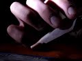 L'apprentis Bedo de Vermes