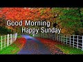 The Best 27 Happy Sunday Morning Images In Hindi