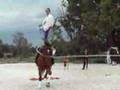 volteo artistico exhibicion streaptease sobre caballo
