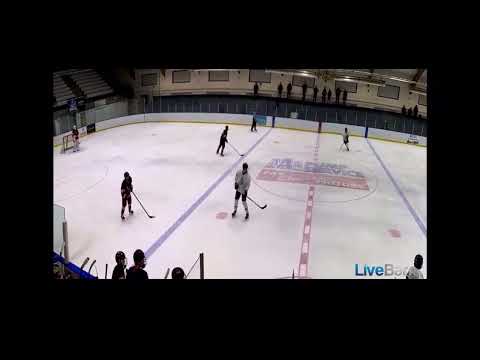 U18 95 Giants vs U18 Anaheim Jr Ice Dogs #67 Black