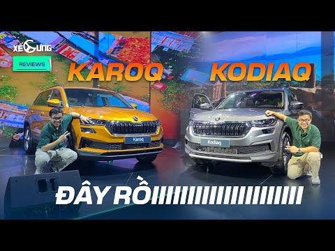 Trải nghiệm cực nhanh Skoda Karoq và Kodiaq ngay tại Việt Nam. Xe Châu Âu giá từ... 999 triệu