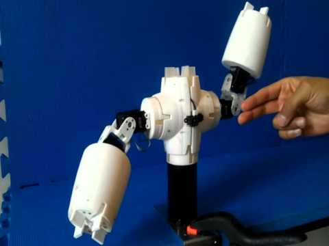 Fable - Humanoid Torso Modular Robot