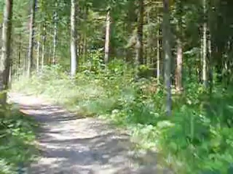 MTB Tour Einsiedeln-Zürich
