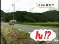 佐田建美♪大阪支店で木製スーパーカー~木の車~「真庭」+
