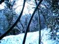 MTB - Montorfano BS, 4 Gennaio 2009