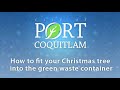 Port Coquitlam -  How to Properly Dispose of Your Christmas Tree