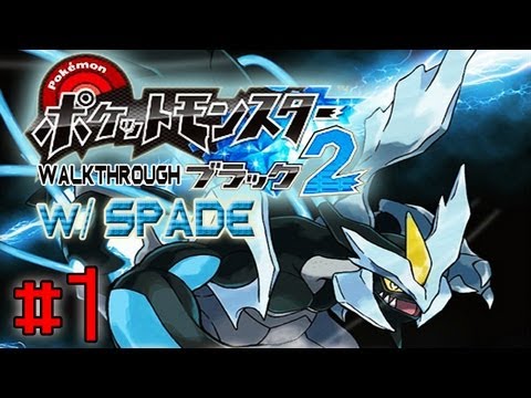 pokemon black pokemon black