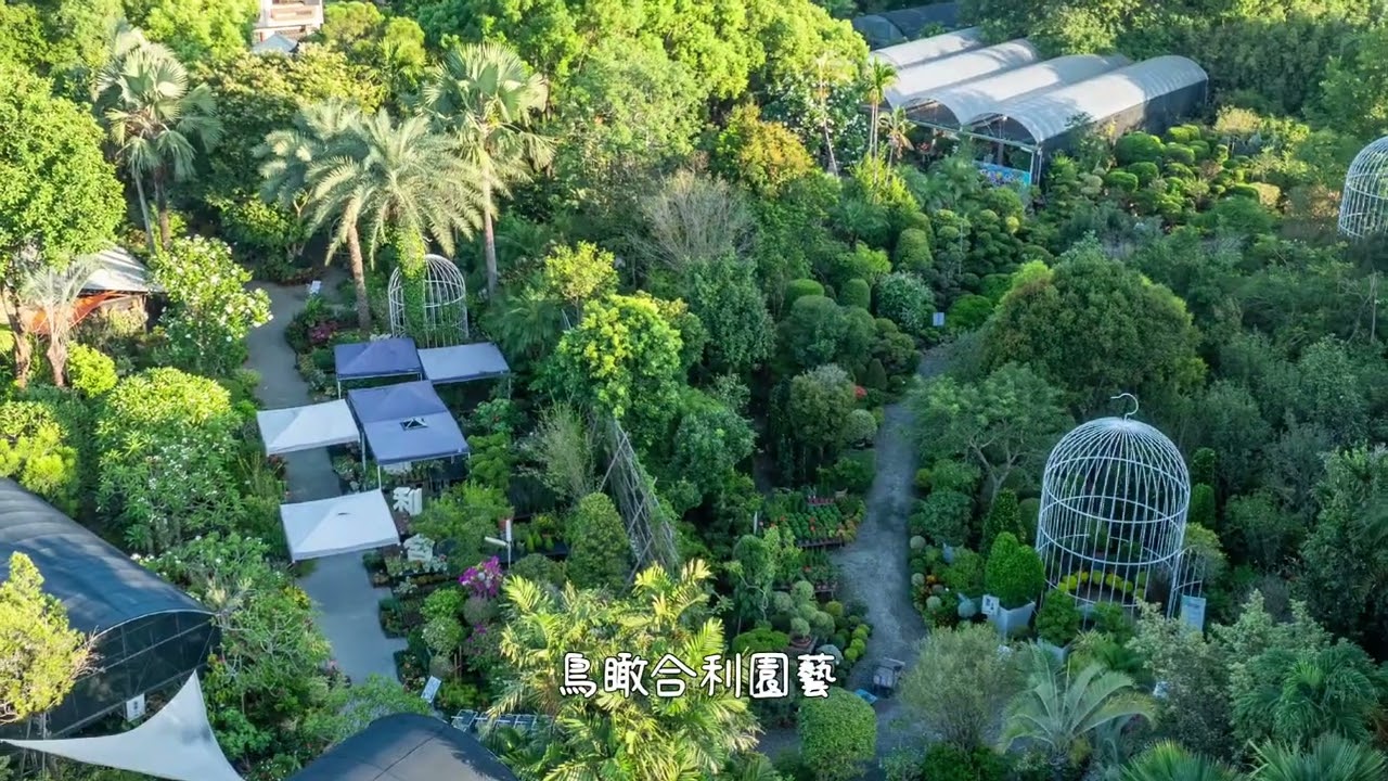 用心看田尾~鳥瞰合利園藝