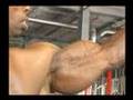 MostMuscular-Com-Ant