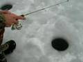 Ice Fishing Bluegill Sunfish Perch Bass Crappie - St. Croix