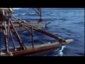 Doves Andalucia Unofficial vid