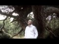 Jan Spijkerman Stom Official Music Video and Lyrics