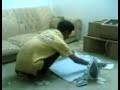 Celular e a Anta