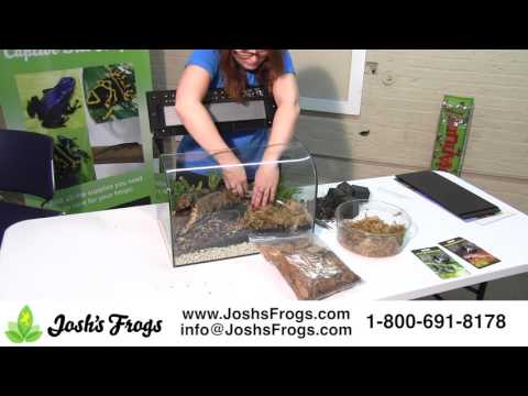 YouTube reptile video