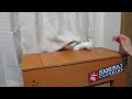 YouTubeサムネイル[dKPRx3t6Y_k] - 2枚目