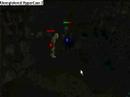 Runescape Eye of the Tiger Slayer Video