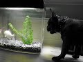 MVI_1429.AVI