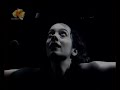 just another tiger lillies video
