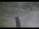Bullets VS pop cans and some slo mo explosions.