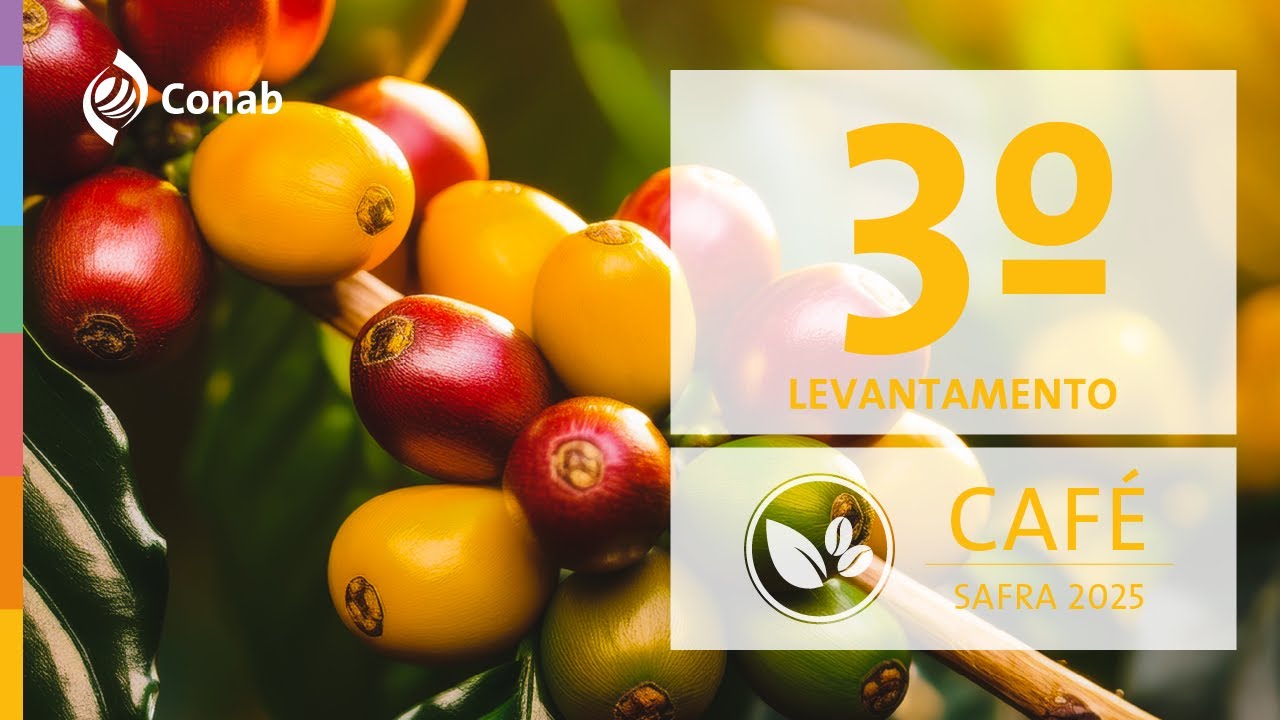 3° Levantamento da Safra de Café 2025