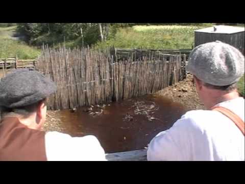 Regardez cette vidéo