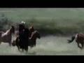 Flicka | What Have You Done