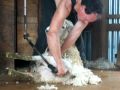DSCF3841.AVI