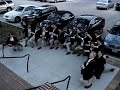 SigEp Serenades (SMU)