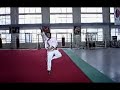 Master Ma yue comes back to China , teaching his family style Fanzi quan. In China they call him the king of Fanzi quan, Pigua Quan, Qinglong Quan,Fengmo Gun, Tongbei Jian and all other style in his family.