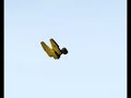 Work in progress. Opening scenes 1-3. Dogfight and zero G recovery sequence to follow.