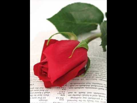 Zoek eerst het Koninkrijk van God (Opwekking 40)